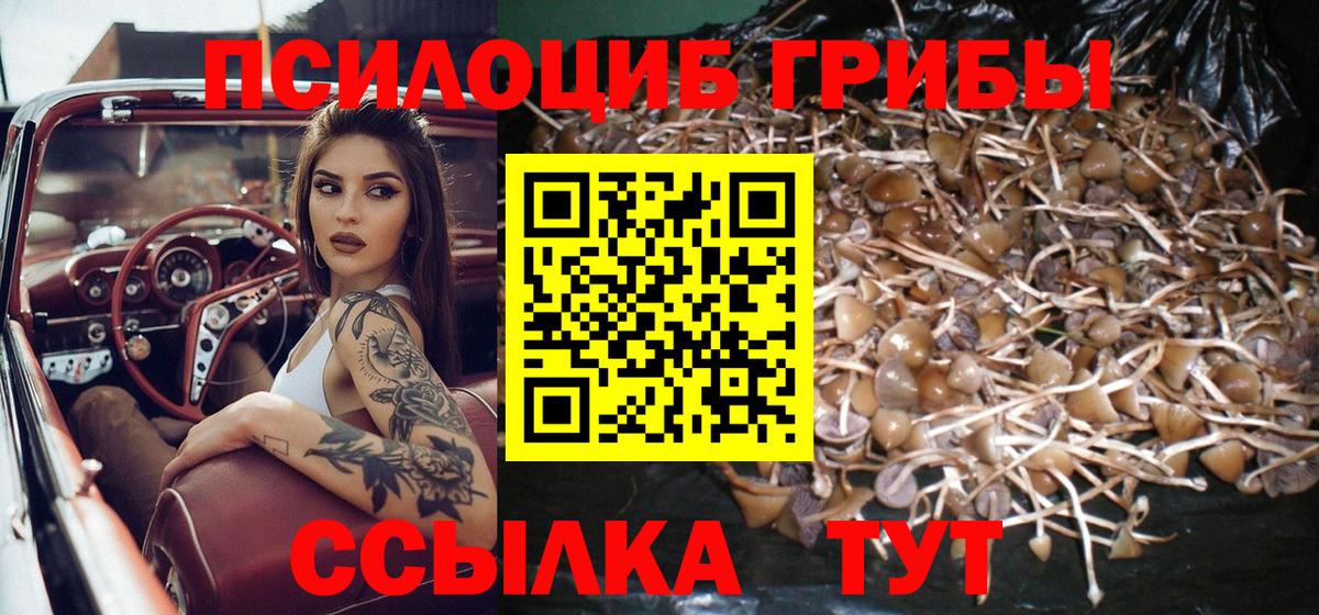 Псилоцибиновые грибы мухоморы Дзержинск